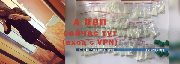 индика Балабаново