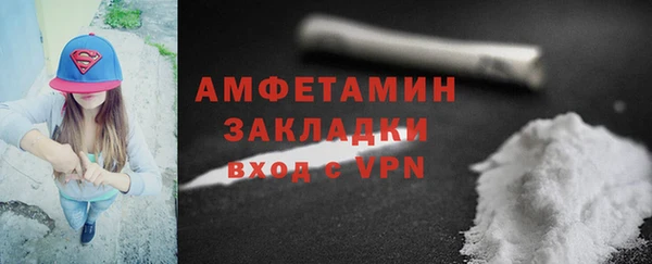 индика Балабаново