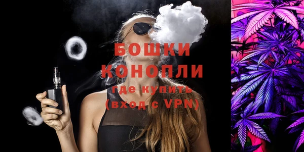 индика Балабаново