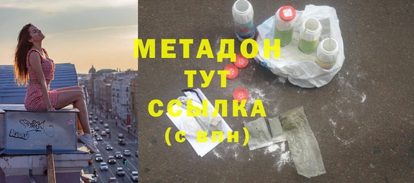прущие грибы Аркадак