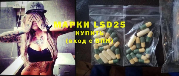 индика Балабаново