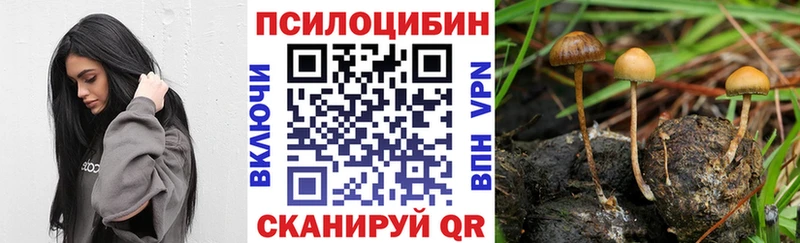 Псилоцибиновые грибы прущие грибы  Инза 